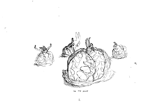 a southern death and beauty cult